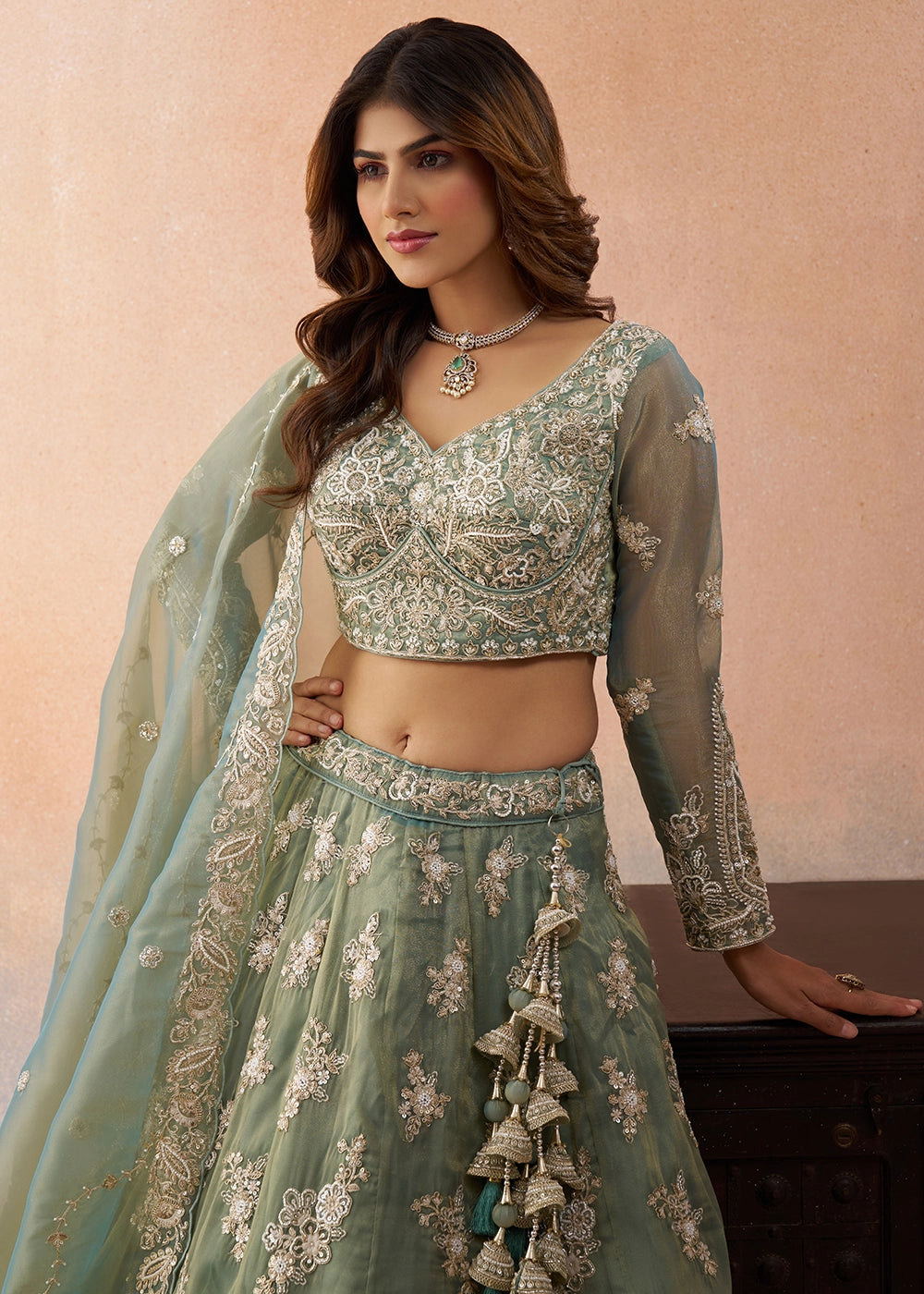 Sage Green Tissue Lehenga Choli with Beads & Sequins work