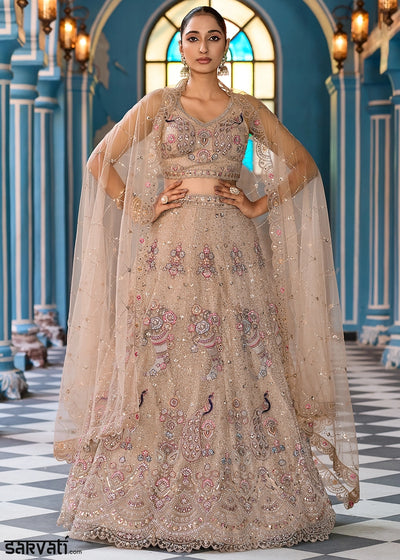 Light Brown Embroidered Net Lehenga Choli with Sequins Work