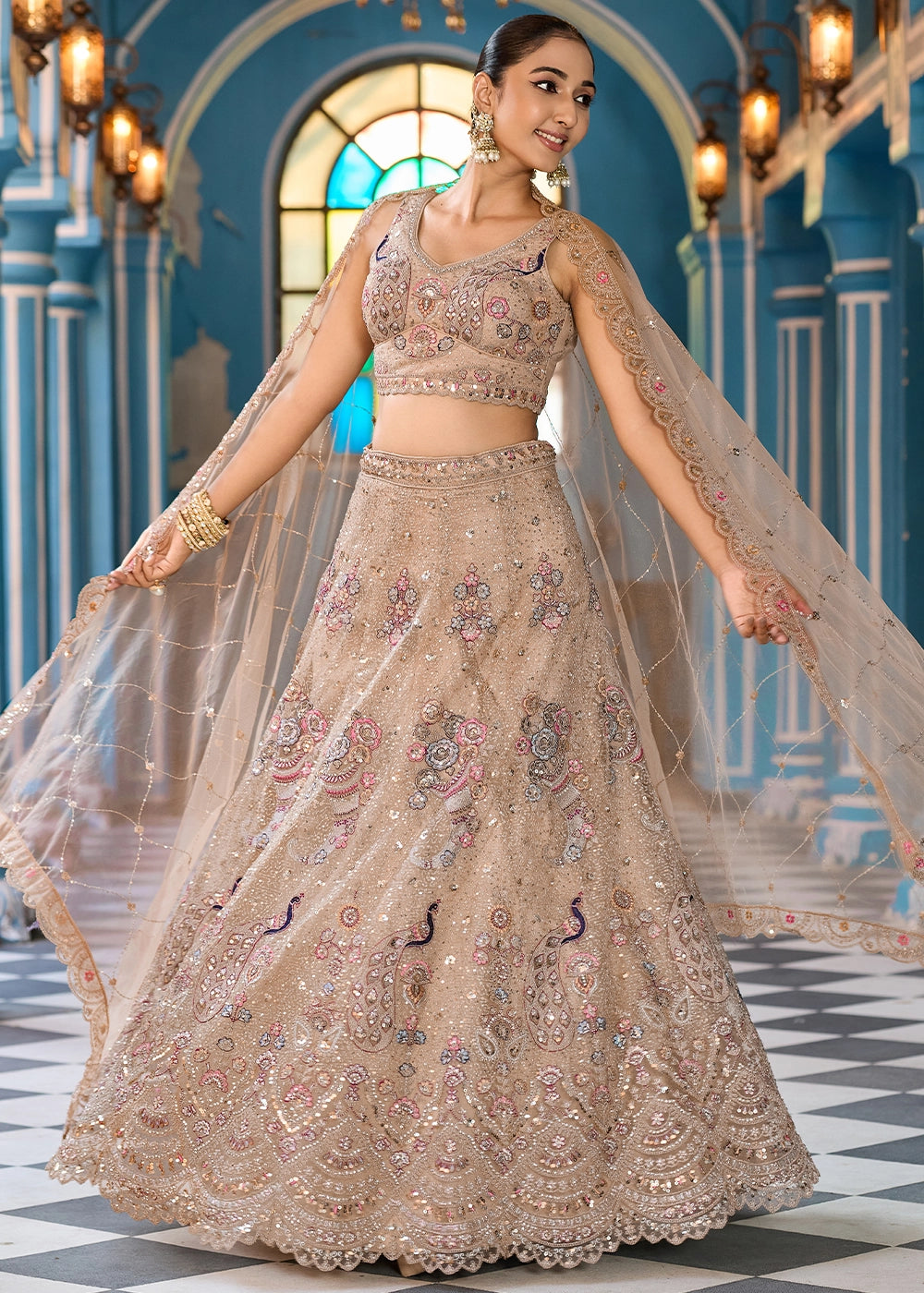 Light Brown Embroidered Net Lehenga Choli with Sequins Work