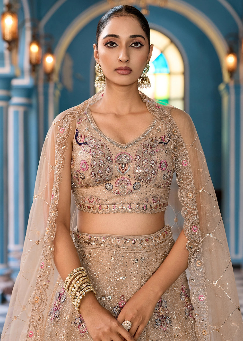 Light Brown Embroidered Net Lehenga Choli with Sequins Work