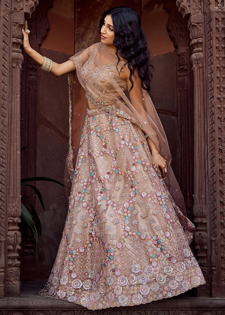 Beige Brown Embroidered Net Lehenga Choli with Sequins Work