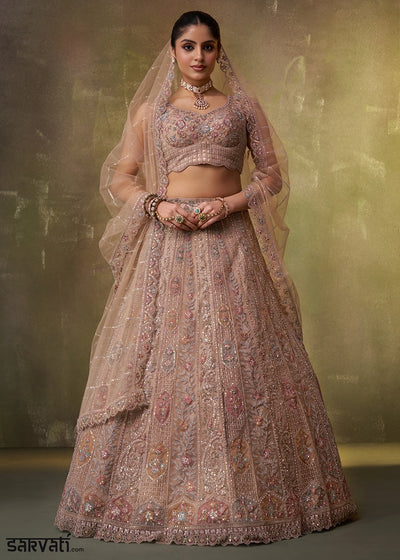 Light Brown Net Embellished Lehenga Choli with Sequins Embroidery