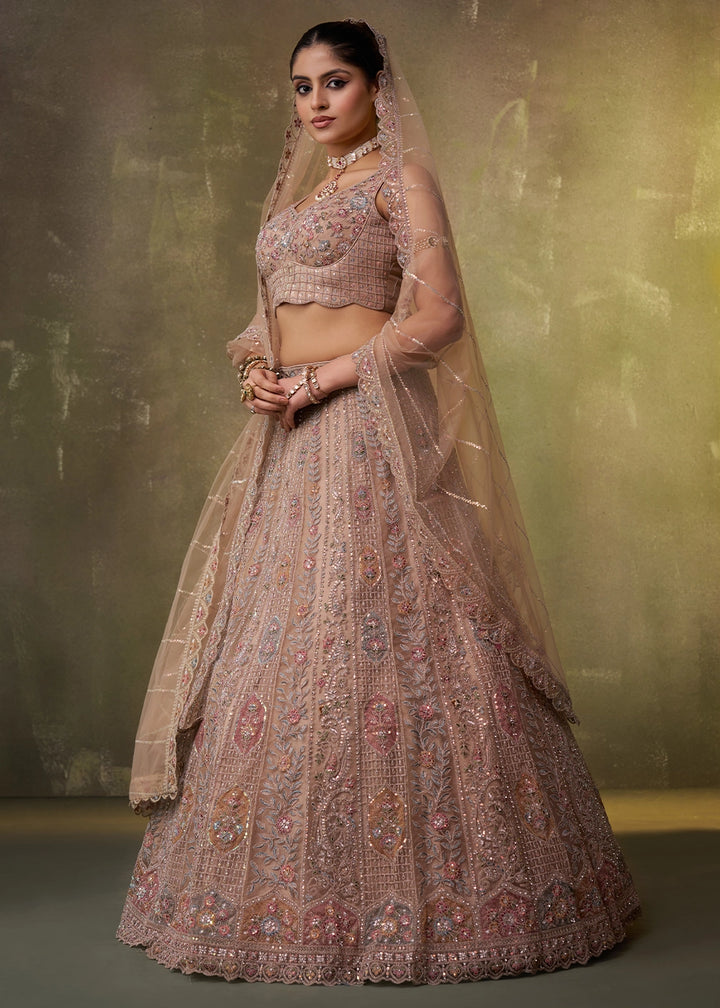 Light Brown Net Embellished Lehenga Choli with Sequins Embroidery