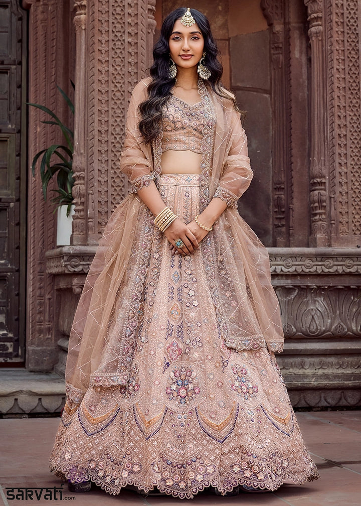 Desert Brown Embroidered Net Lehenga Choli with Sequins Work