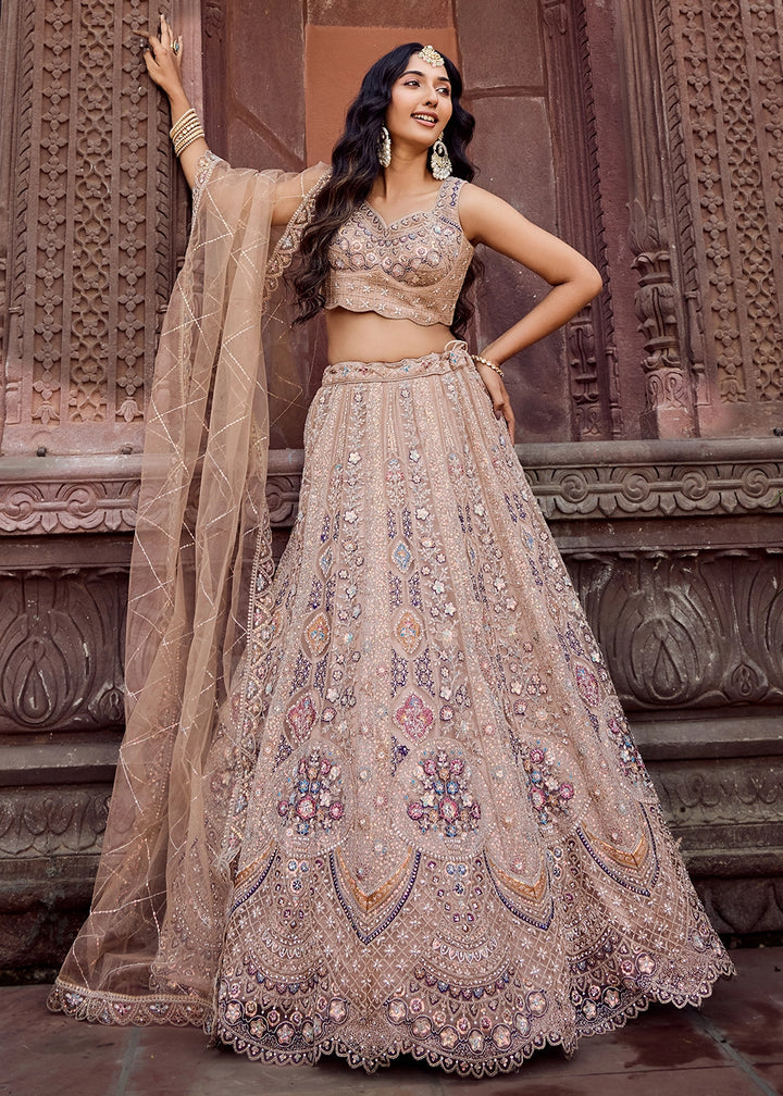 Desert Brown Embroidered Net Lehenga Choli with Sequins Work