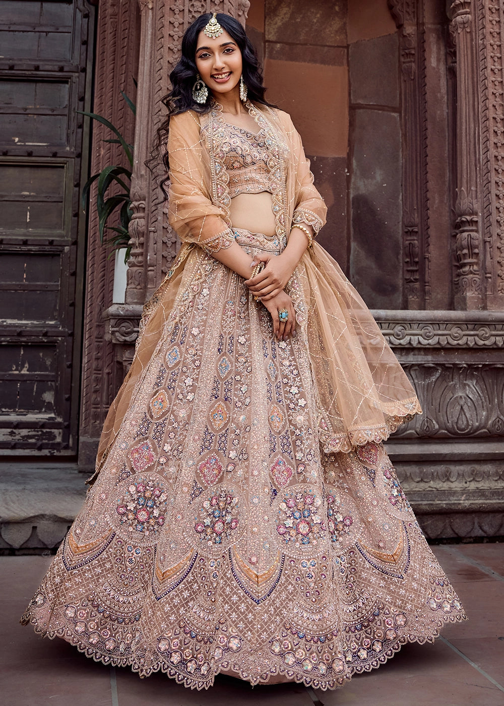 Desert Brown Embroidered Net Lehenga Choli with Sequins Work