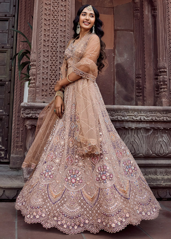 Desert Brown Embroidered Net Lehenga Choli with Sequins Work