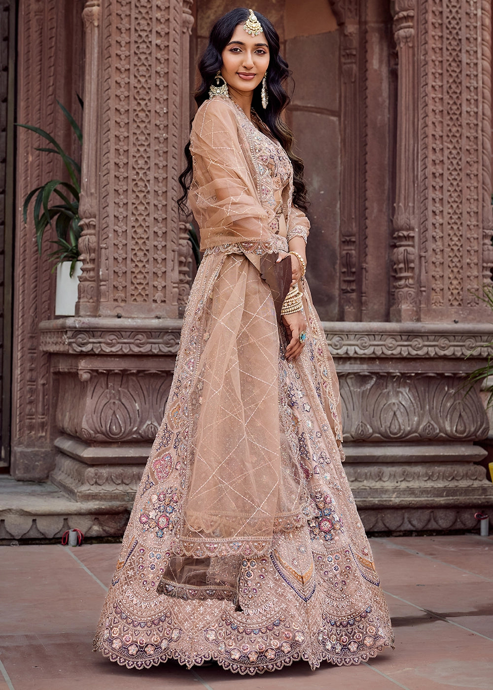 Desert Brown Embroidered Net Lehenga Choli with Sequins Work