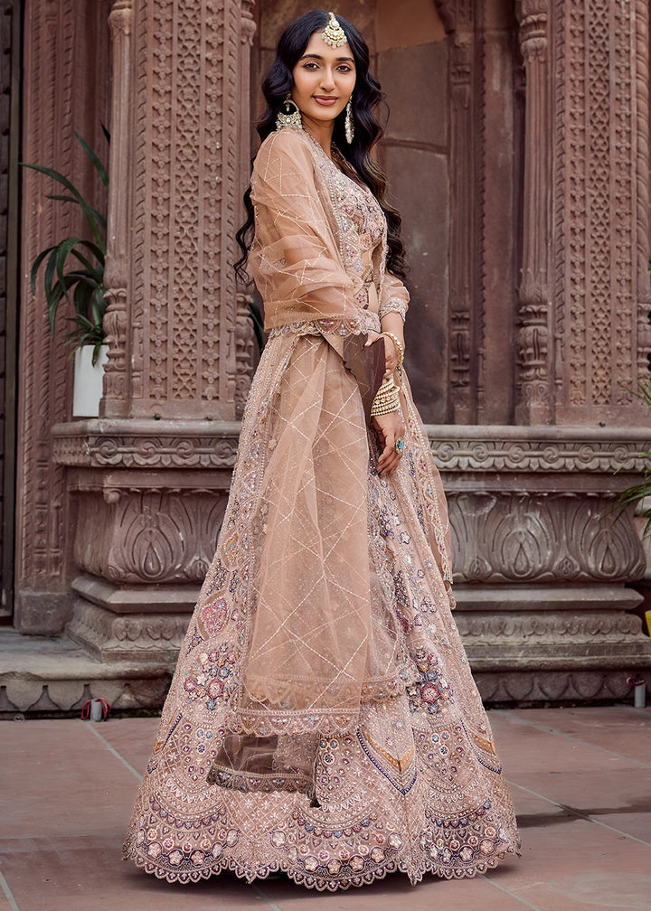 Desert Brown Embroidered Net Lehenga Choli with Sequins Work