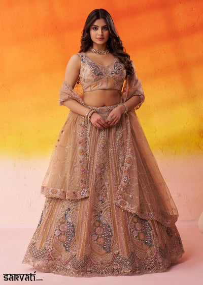 Desert Brown Net Embellished Lehenga Choli with Sequins Embroidery