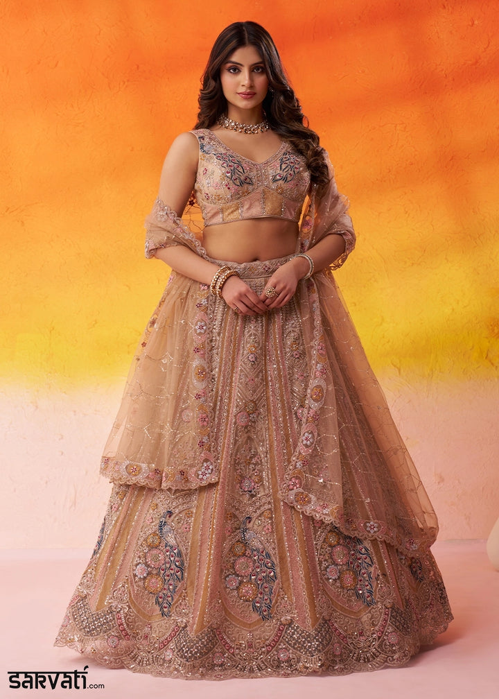 Desert Brown Net Embellished Lehenga Choli with Sequins Embroidery