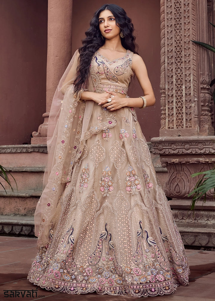 Light Taupe Brown Embroidered Net Lehenga Choli with Sequins Work