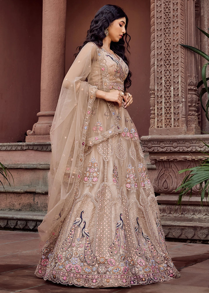 Light Taupe Brown Embroidered Net Lehenga Choli with Sequins Work