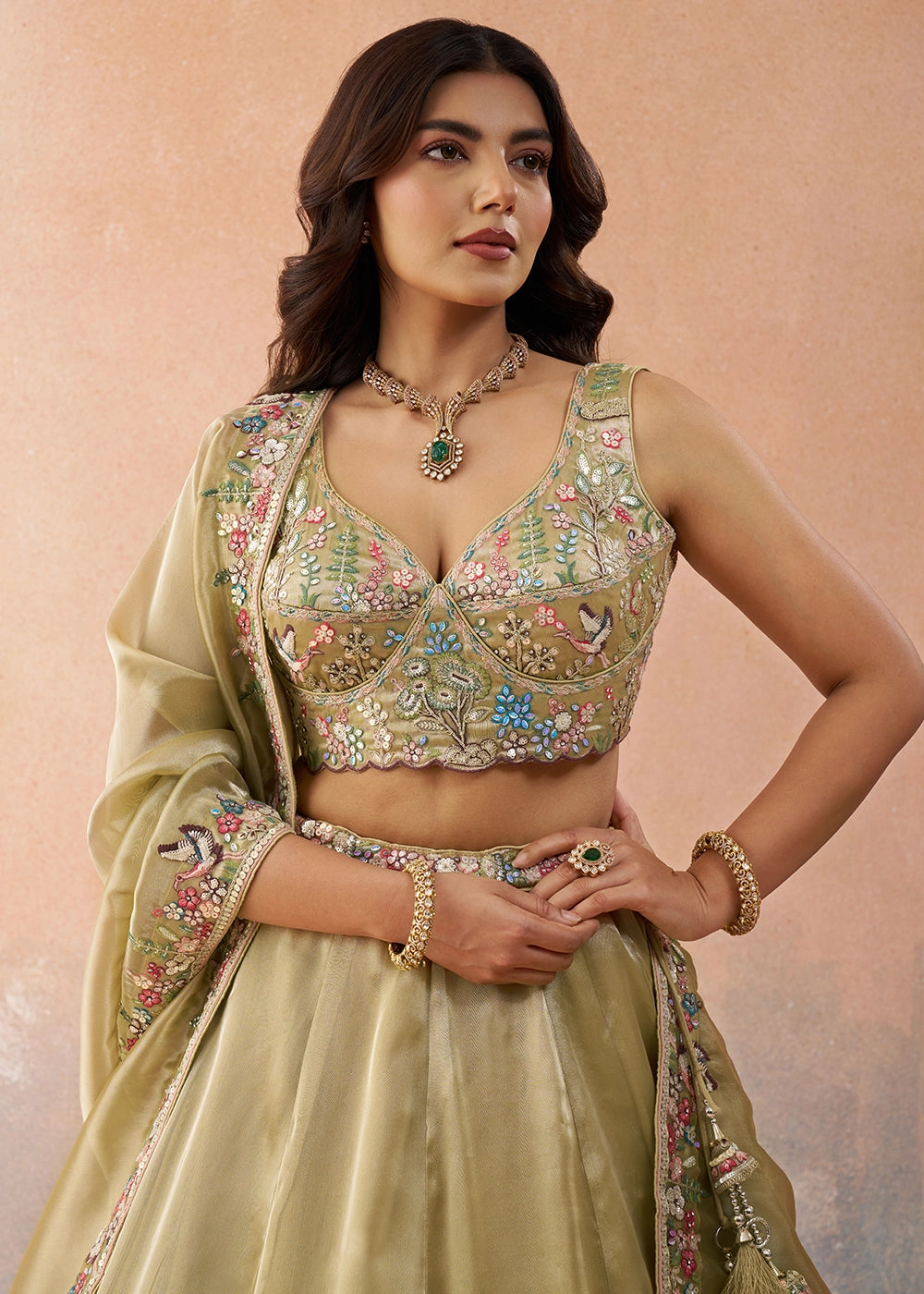 Oyster Brown Tissue Lehenga with Sequin Zarkan Embroidery