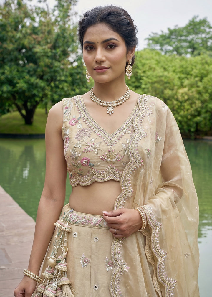 Chiku Beige Silk Blend Lehenga Choli with Floral Embroidery