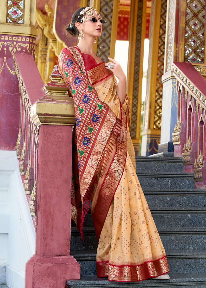 Beige Brown Tussar Silk Saree with Exquisite Zari Border & Patola Pallu