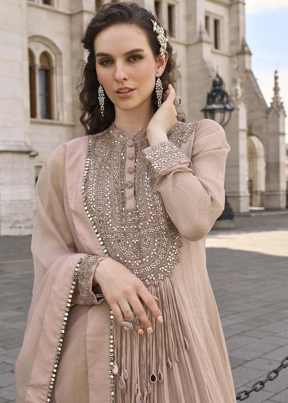 Pink & Brown Chinon Silk Anarkali Gown with Stylish Front and Back Embroidery