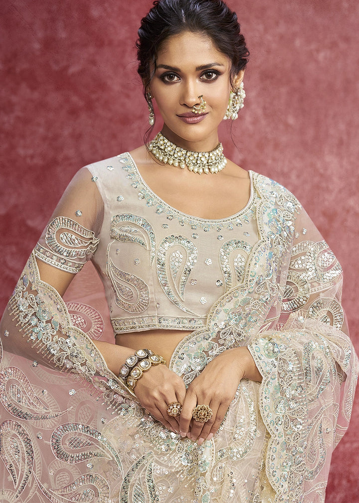 Tan Brown Net Saree having Designer Embroidery with Sequin Highlights