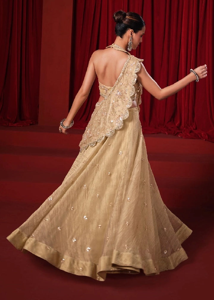 Beige Gold Banarasi Viscose Crush Tissue Lehenga with Embroidery Work