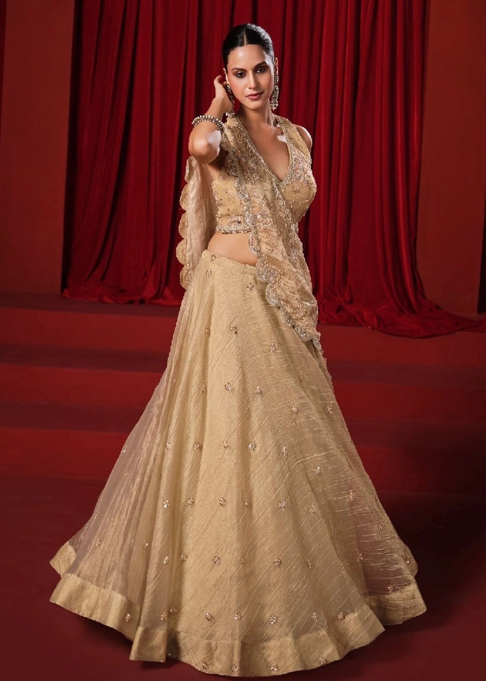 Beige Gold Banarasi Viscose Crush Tissue Lehenga with Embroidery Work