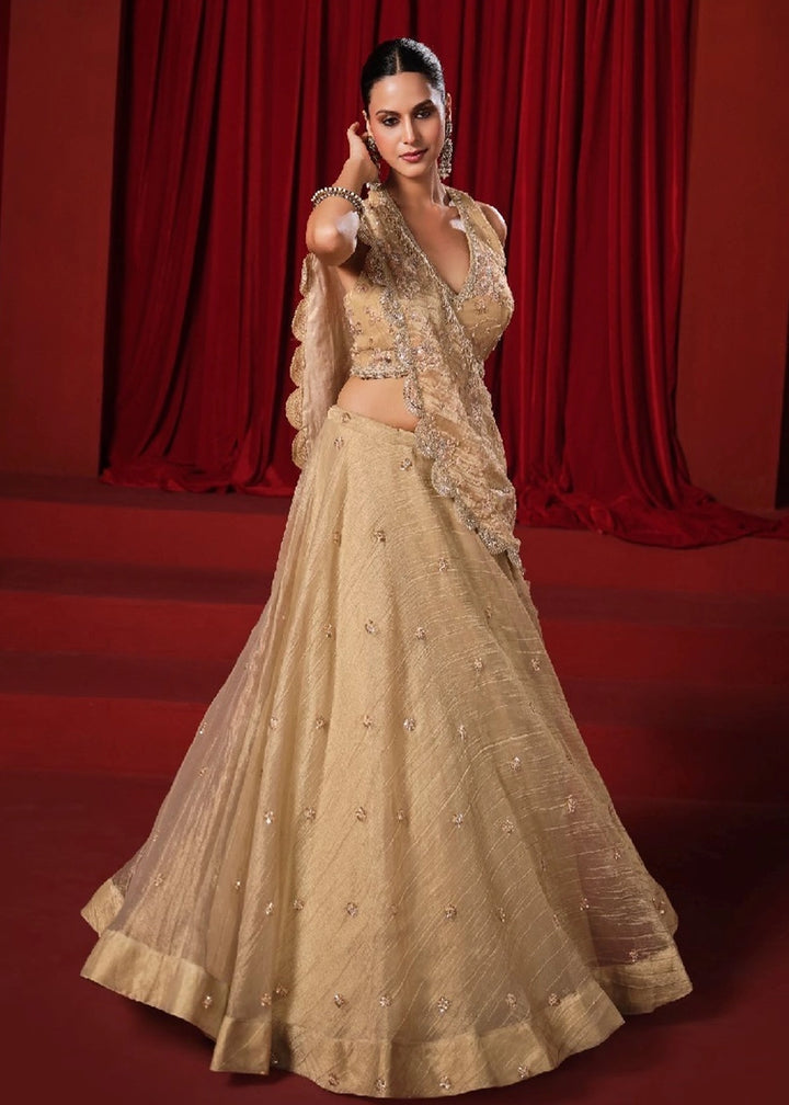 Beige Gold Banarasi Viscose Crush Tissue Lehenga with Embroidery Work