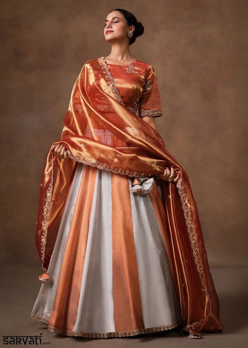 Rust Orange Tissue Lehenga with Border & Embroidery Work