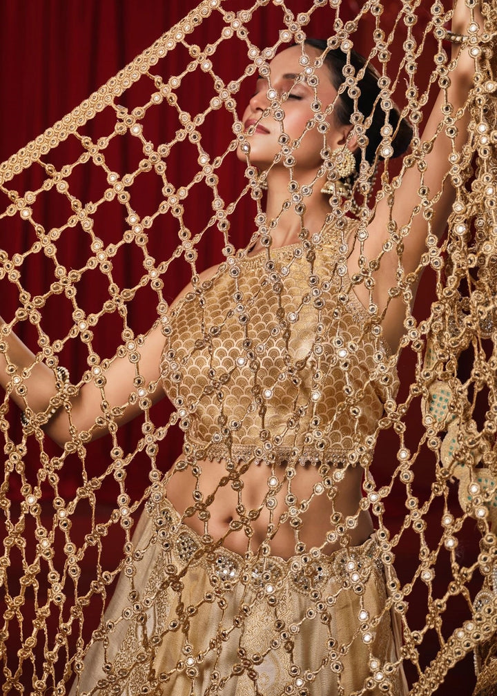 Beige Gold Tissue Silk Designer Lehenga Choli with Jaal Dupatta