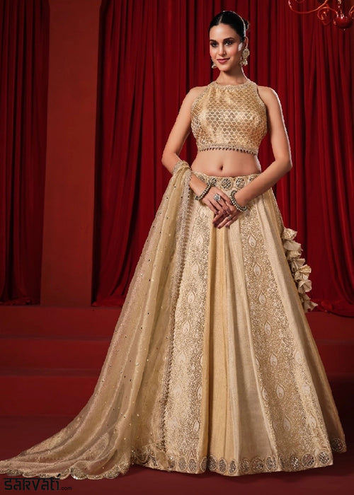 Beige Gold Tissue Silk Designer Lehenga Choli