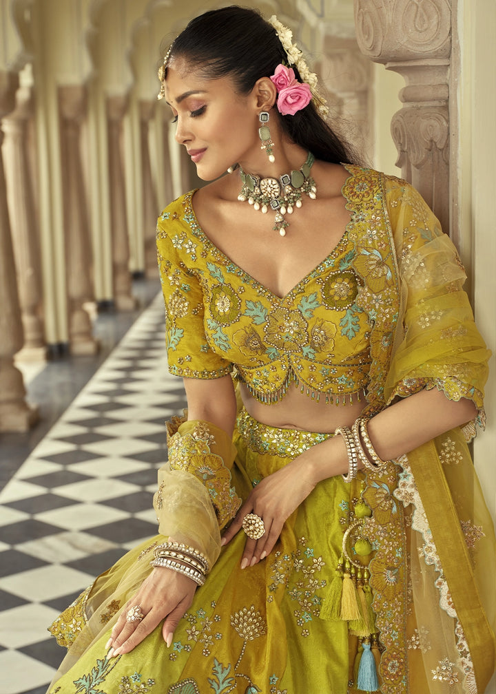 Shades Of Green Banarasi Silk Embroidered Lehenga Choli with Heavy Cut Work & Mirror Detailing