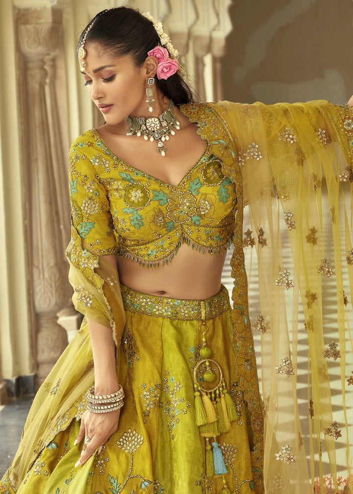 Shades Of Green Banarasi Silk Embroidered Lehenga Choli with Heavy Cut Work & Mirror Detailing