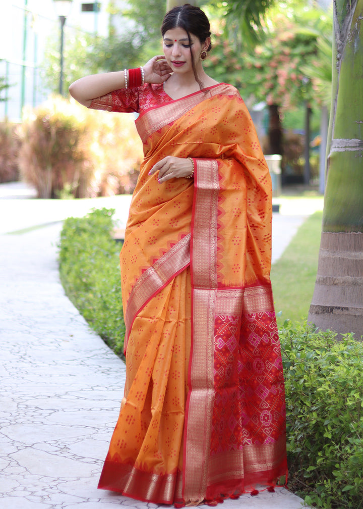 Pumpkin Orange Raw Silk Saree with Intricate Patola Print & Zari Pallu