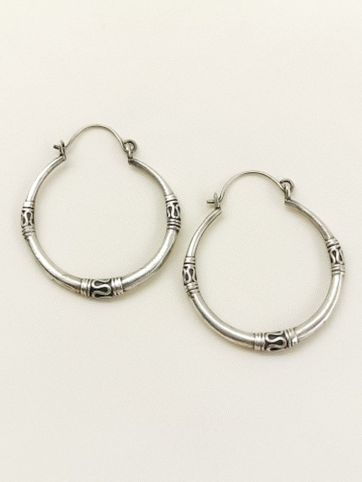 Aadhvita Plain Oxidized Earring - House of Sarvati LLC
