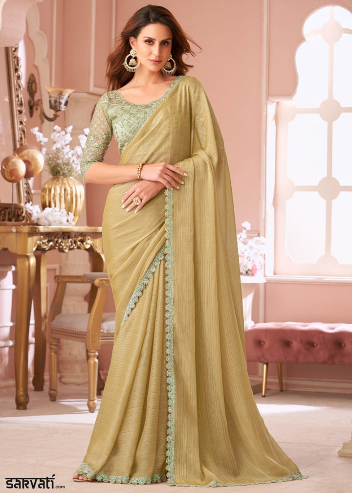 Beige Brown Embellished Georgette Saree with Designer Blouse - House of Sarvati LLC