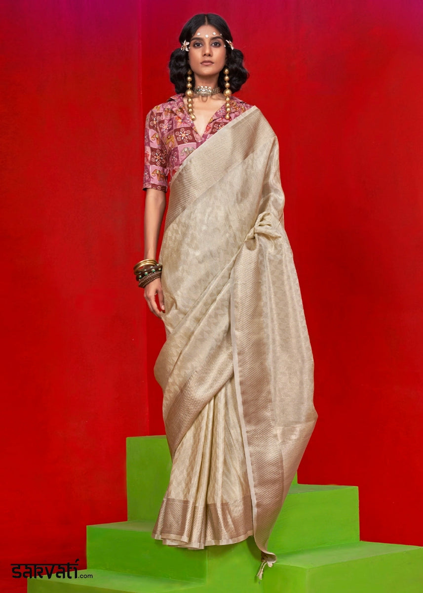 Beige Brown Handloom Tissue Silk Saree with Intricate Border Weaving - House of Sarvati LLC