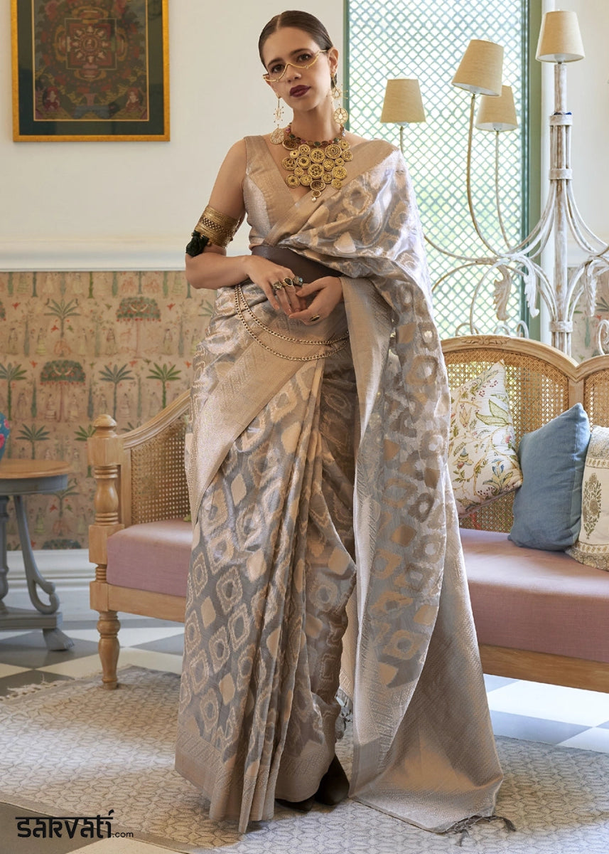 Dove Grey Tissue Silk Saree with Delicate Handloom Zari Embroidery - House of Sarvati LLC