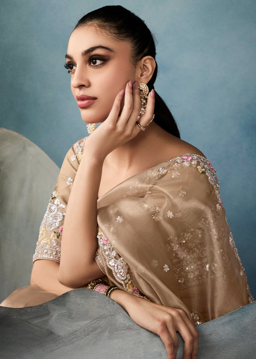 Light Brown Designer Saree in Tissue Fabric with Hand Embroidery - House of Sarvati LLC
