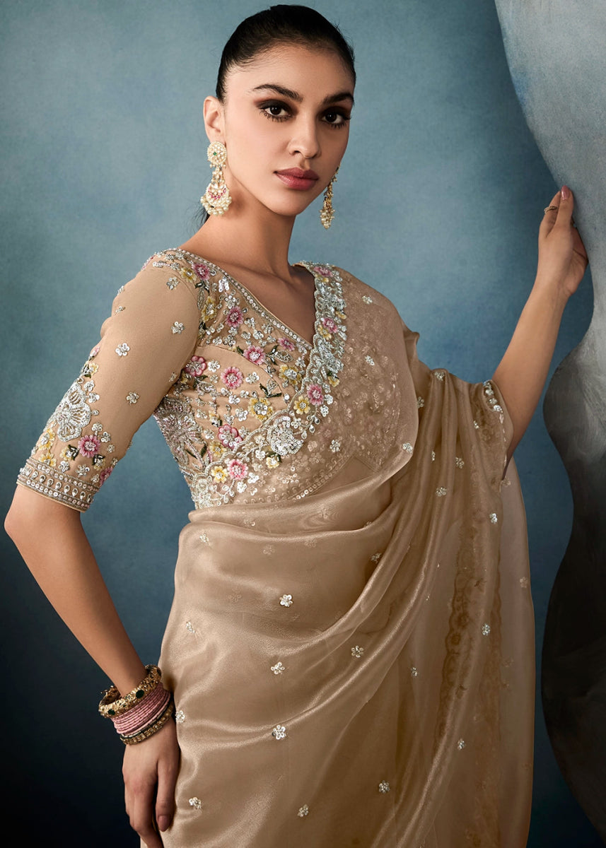 Light Brown Designer Saree in Tissue Fabric with Hand Embroidery - House of Sarvati LLC
