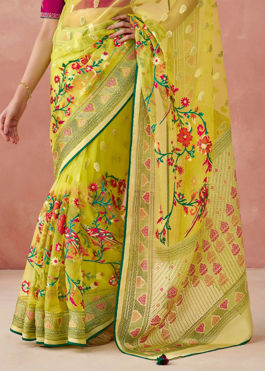 Light Green Brasso Organza Saree with Designer Embroidered Blouse - House of Sarvati LLC