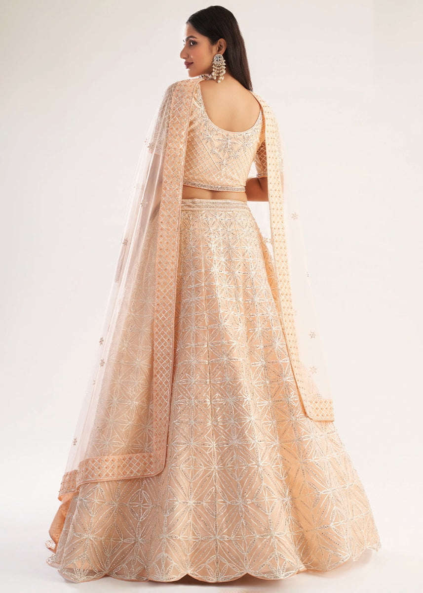 Light Peach Pink Net Lehenga Choli with Handcrafted Cording, Thread, and Stone Work - House of Sarvati LLC
