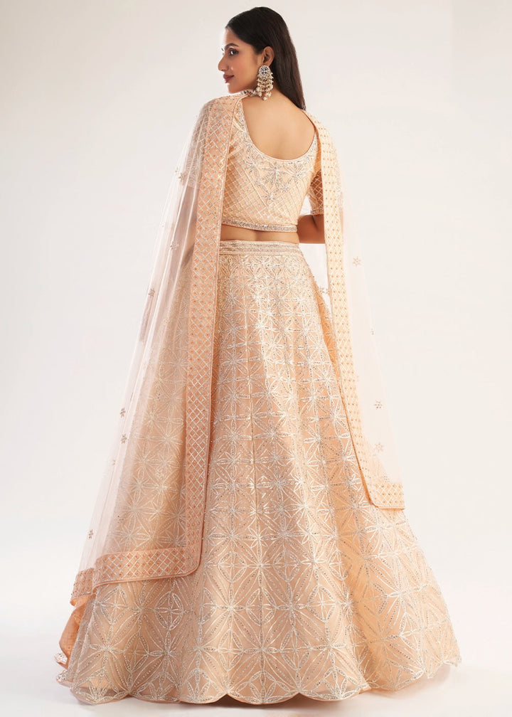 Light Peach Pink Net Lehenga Choli with Handcrafted Cording, Thread, and Stone Work - House of Sarvati LLC