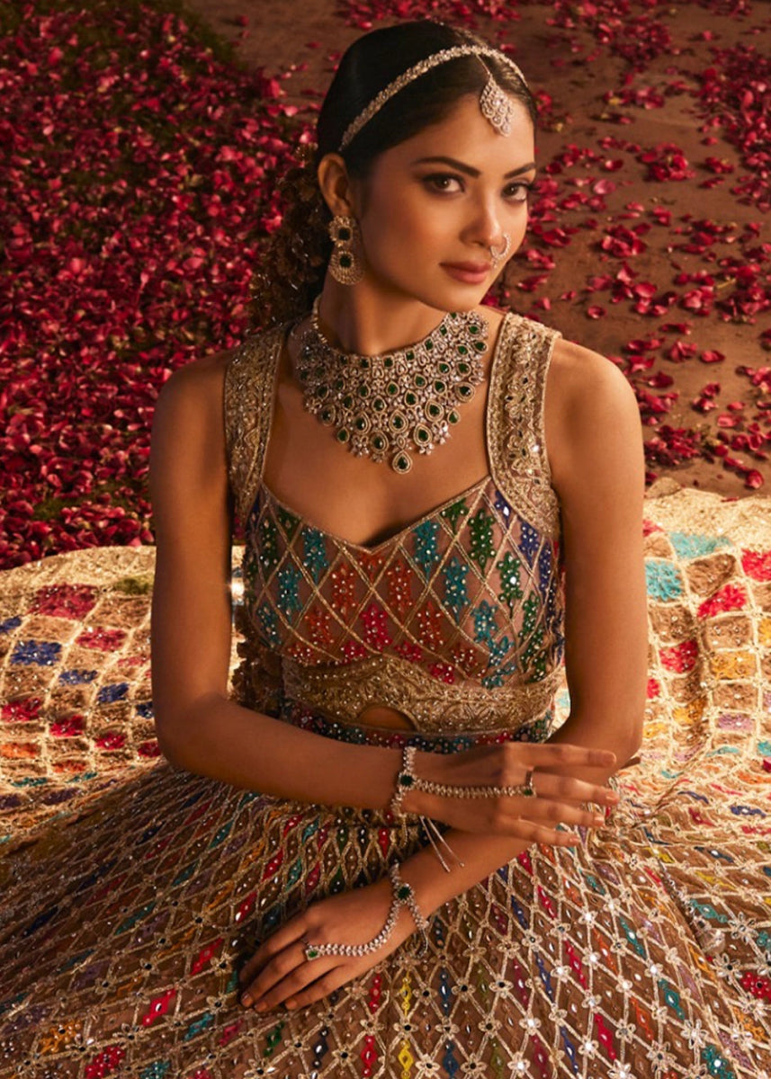 Multi colored Net Lehenga Choli with Embroidery and Sparkling Sequins Work - House of Sarvati LLC