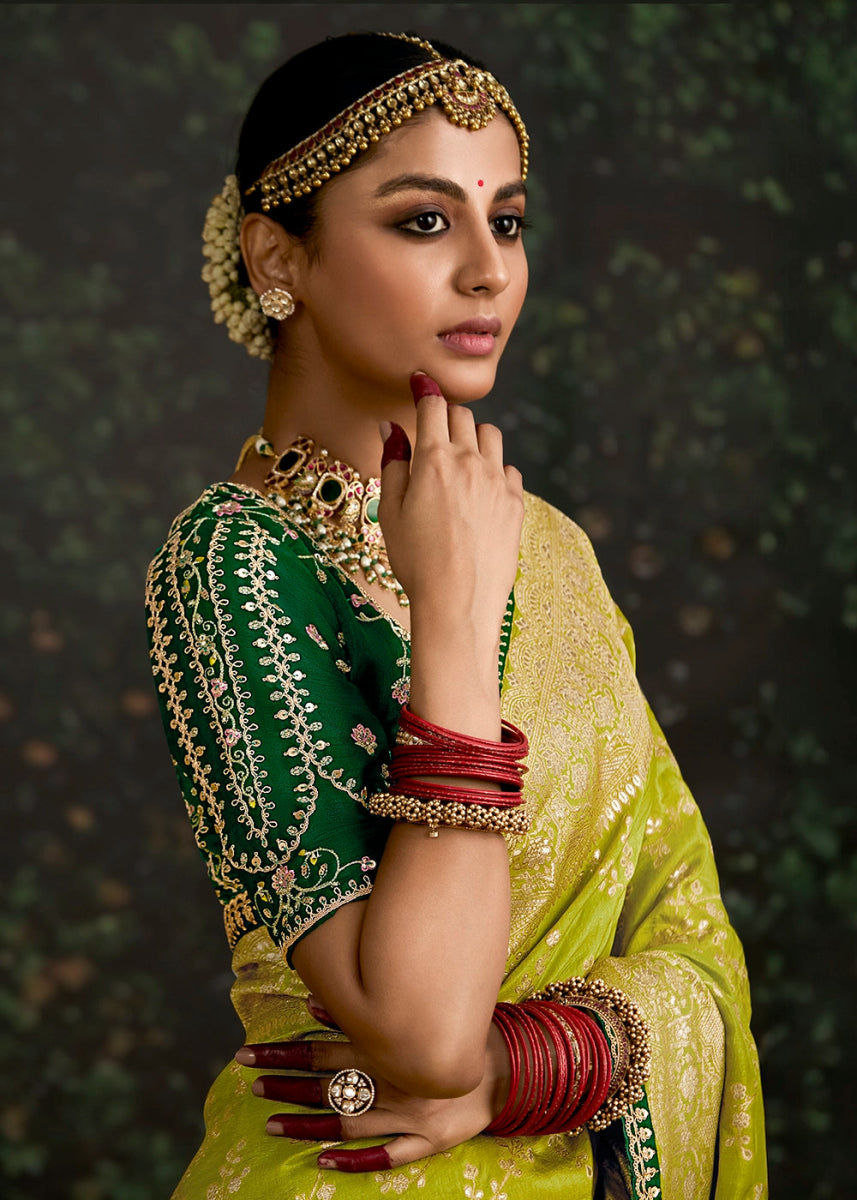 Pear Green Zari Woven Dola Silk Saree with Embroidery Detailing - House of Sarvati LLC