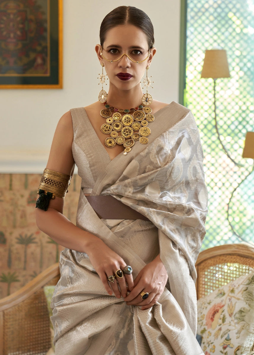 Shaded Grey Tissue Silk Saree with Delicate Handloom Zari Embroidery - House of Sarvati LLC