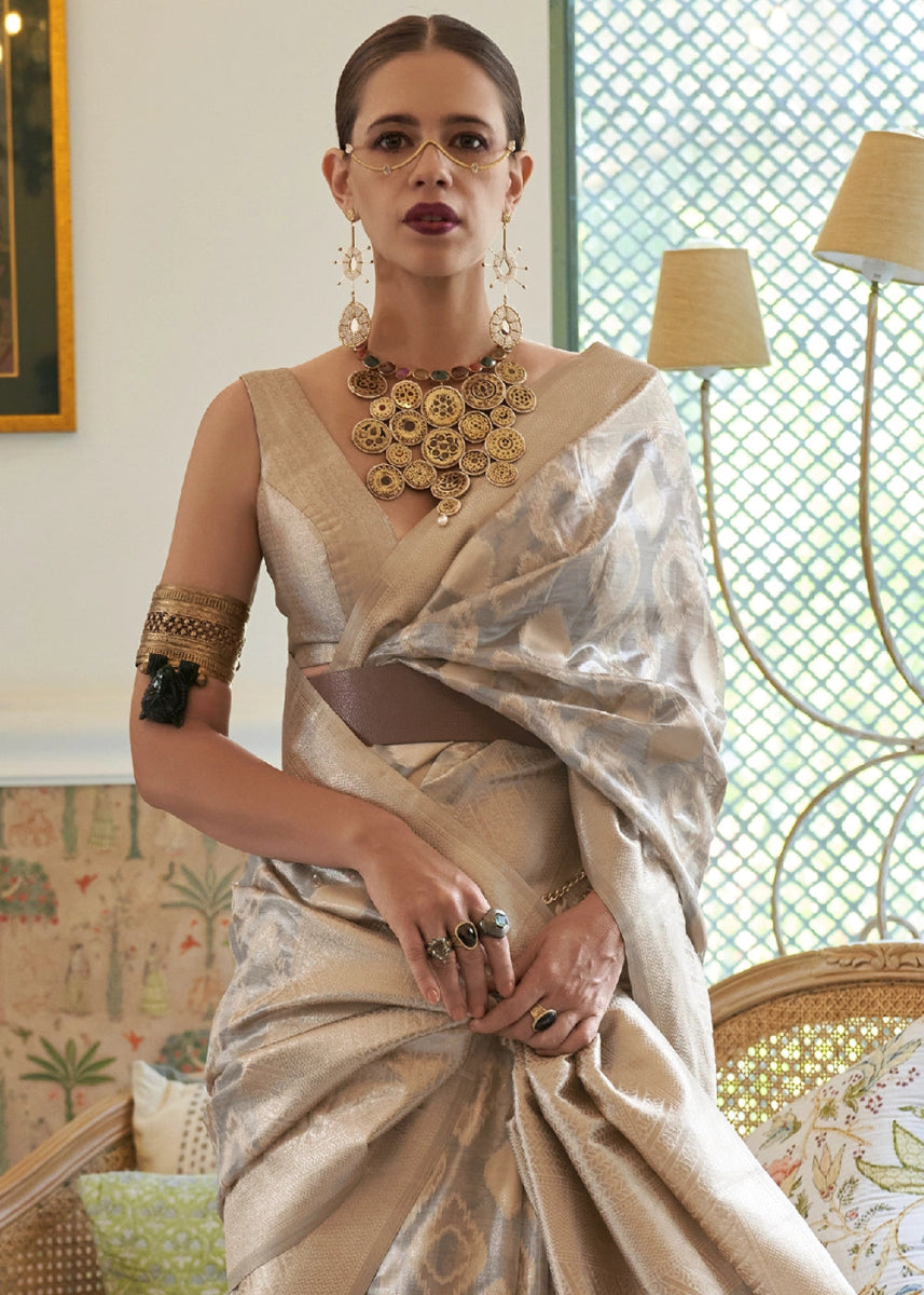 Shaded Grey Tissue Silk Saree with Delicate Handloom Zari Embroidery - House of Sarvati LLC