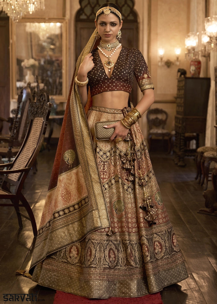 Shades of Brown Embellished Rajwadi Silk Lehenga Choli with Aari Mirror Work - House of Sarvati LLC