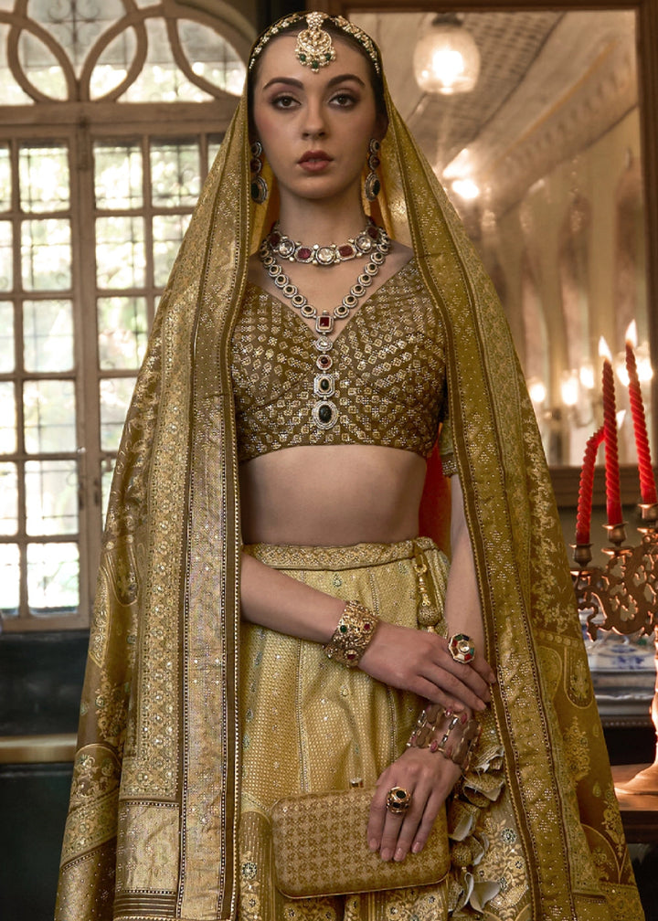 Shades Of Brown & Green Embellished Rajwadi Silk Lehenga Choli with Aari Mirror Work - House of Sarvati LLC