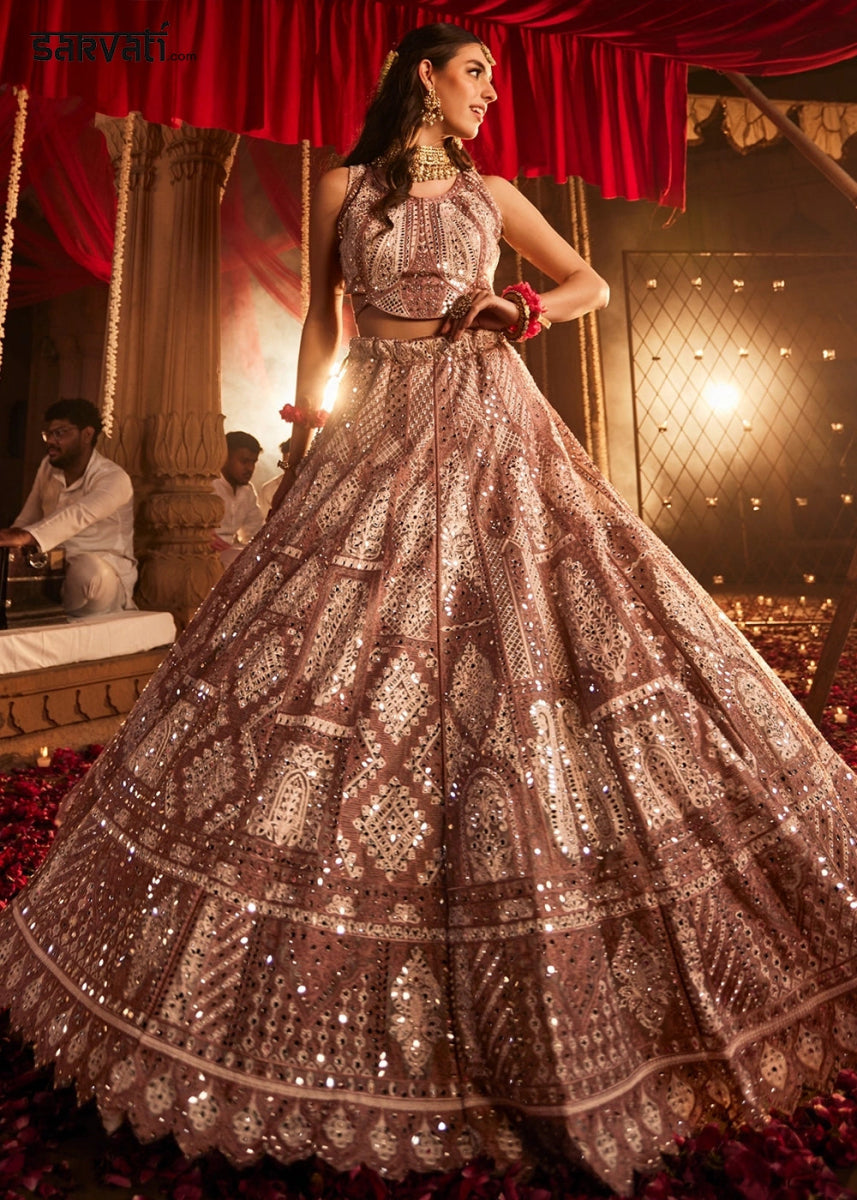 Shades Of Brown Net Lehenga Choli with Embroidery and Sparkling Sequins Work - House of Sarvati LLC