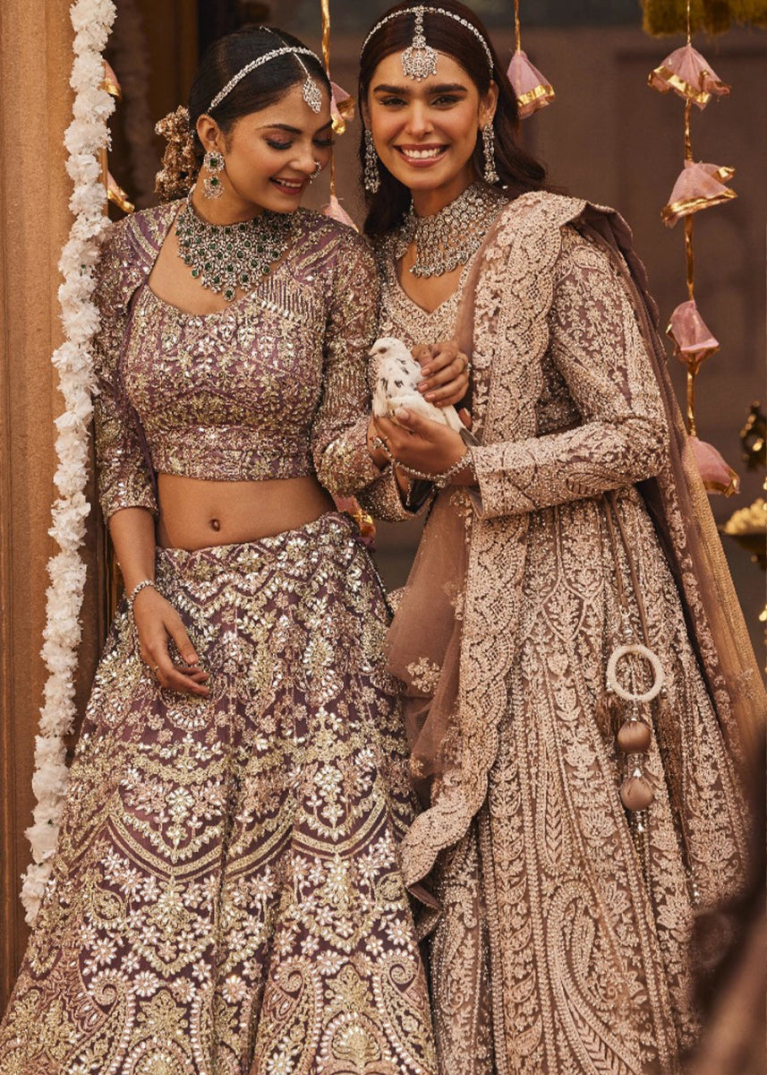 Shades Of Brown Net Lehenga Choli with Embroidery and Sparkling Sequins Work - House of Sarvati LLC