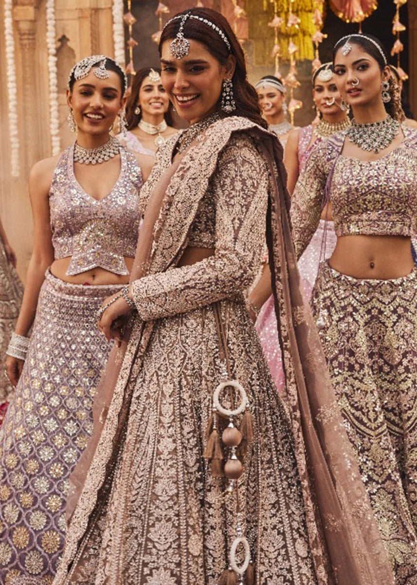 Shades Of Brown Net Lehenga Choli with Embroidery and Sparkling Sequins Work - House of Sarvati LLC