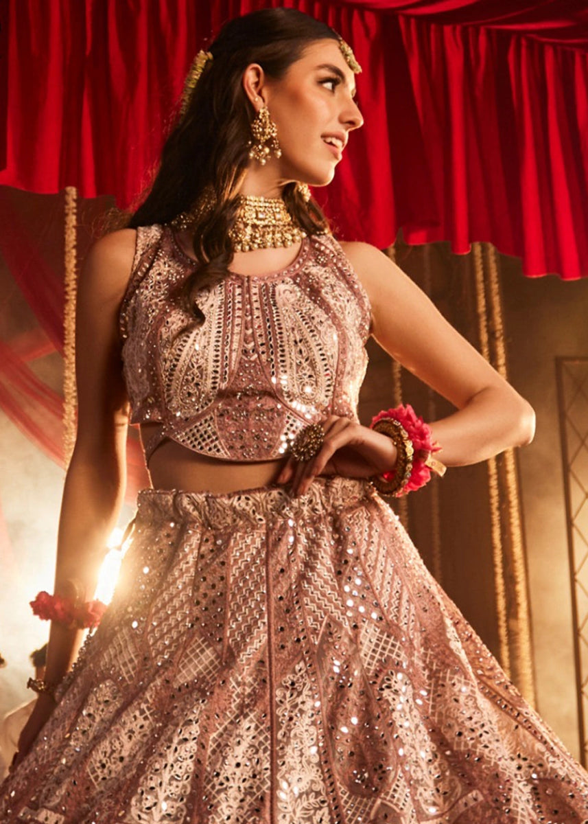 Shades Of Brown Net Lehenga Choli with Embroidery and Sparkling Sequins Work - House of Sarvati LLC